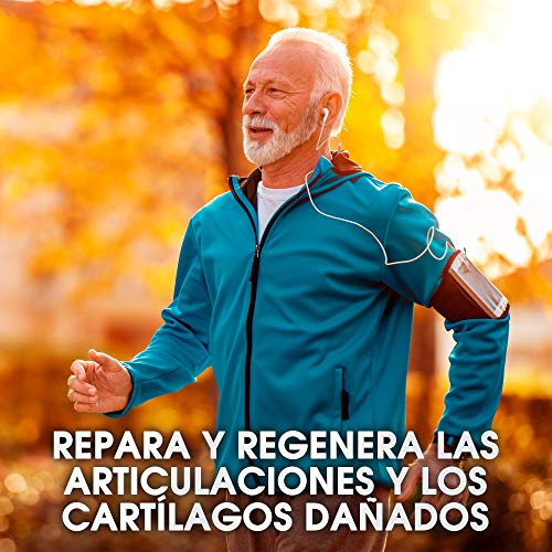 Glucosamina + Condroitina + Boswellia | Potente antiinflamatorio y analgésico | Elimina dolores musculares y articulares eficazmente | Protege y regenera articulaciones y cartílagos | 120 cápsulas Glucosamina + Condroitina + Boswellia | Potente antiinflamatorio y analgésico | Elimina dolores musculares y articulares eficazmente | Protege y regenera articulaciones y cartílagos | 120 cápsulas