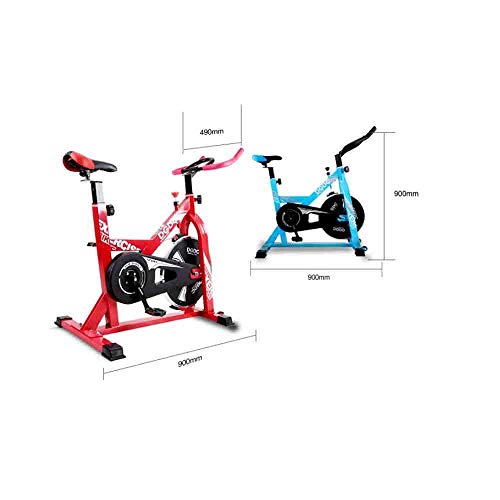 GLXYFC Bicicleta estática de spinning Bike Mute regalo para el hogar, bicicleta deportiva para pérdida de peso, bicicleta profesional, equipo de fitness profesional en casa, color rojo