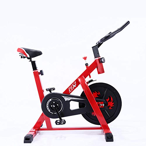 GLXYFC Bicicleta estática de spinning Bike Mute regalo para el hogar, bicicleta deportiva para pérdida de peso, bicicleta profesional, equipo de fitness profesional en casa, color rojo