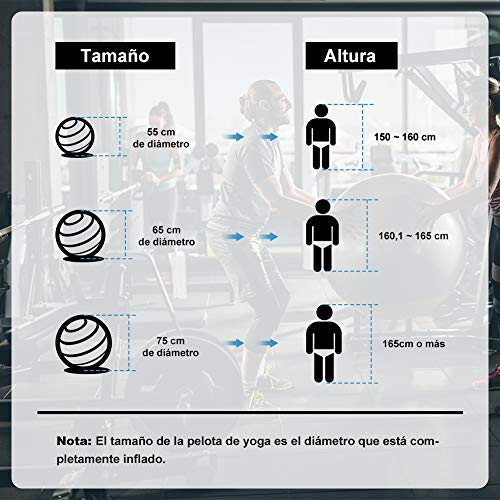 Glymnis Pelota de Ejercicio Pelota Anti-Burst para Pilates Gimnasia Fitness Equilibrio Yoga Embarazo 55cm 65cm 75cm con Hinchador Azul (75cm) Glymnis Pelota de Ejercicio Pelota Anti-Burst para Pilates Gimnasia Fitness Equilibrio Yoga Embarazo 55cm 65cm 75cm con Hinchador Azul (75cm)