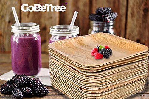 GoBeTree Vajilla desechable de 75 Piezas, 25 Platos de Hoja de Palma Cuadrados, Juego de Cubiertos de Madera Abedul de 25 Tenedores y 25 Cuchillos, vajilla Rustica y Elegante, vajilla Biodegradable GoBeTree Vajilla desechable de 75 Piezas, 25 Platos de Hoja de Palma Cuadrados, Juego de Cubiertos de Madera Abedul de 25 Tenedores y 25 Cuchillos, vajilla Rustica y Elegante, vajilla Biodegradable