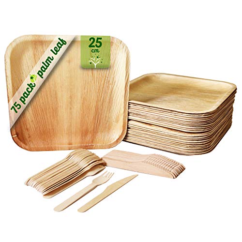 GoBeTree Vajilla desechable de 75 Piezas, 25 Platos de Hoja de Palma Cuadrados, Juego de Cubiertos de Madera Abedul de 25 Tenedores y 25 Cuchillos, vajilla Rustica y Elegante, vajilla Biodegradable