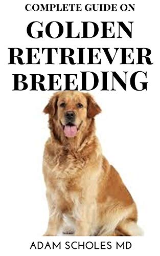 GOLDEN RETRIEVER : The Essential Guide To Caring For, Training, Buying And Grooming Golden Retriever (English Edition) GOLDEN RETRIEVER : The Essential Guide To Caring For, Training, Buying And Grooming Golden Retriever (English Edition)