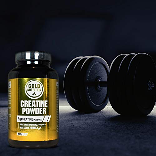 Goldnutrition Creatine Powder, 280g, Créapure Pure Creatine