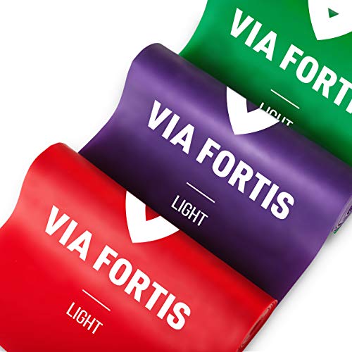 Gomas elasticas fitness de VIA FORTIS - Conjunto de 3 bandas elasticas musculacion con anclaje de Puerta – perfecto para tu entrenamiento en casa - con el plan de entrenamiento y la bolsa