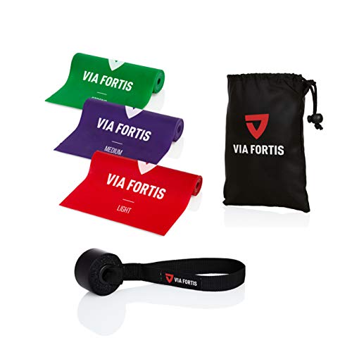 Gomas elasticas fitness de VIA FORTIS - Conjunto de 3 bandas elasticas musculacion con anclaje de Puerta – perfecto para tu entrenamiento en casa - con el plan de entrenamiento y la bolsa