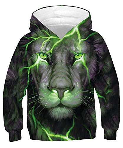 Goodstoworld Sudaderas con Capucha 3D 12-13 añoseón Verde Anime Fantasía Hoodie Estampado Pullover Tendencia Sweatshirt Otoño Invierno para Chicas Niño Niña 12-13 añoseón Verde 14-16 años