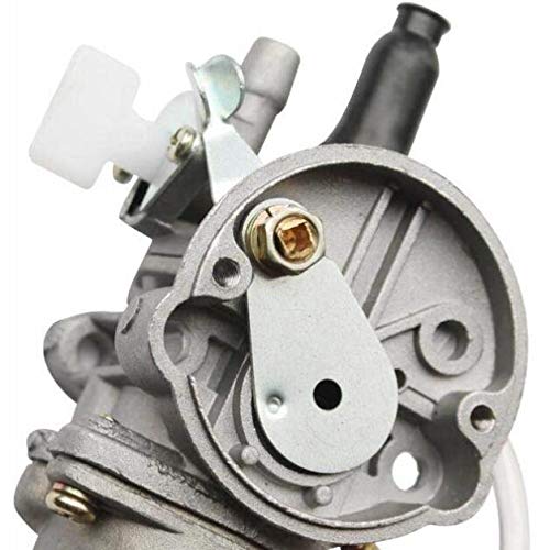 GOOFIT Carburador 13 PZ13 Moto para 2 Tiempos 47cc 49cc Mini Quad Pit Bike Motor Ciclomotor y Scooter Plata GOOFIT Carburador 13 PZ13 Moto para 2 Tiempos 47cc 49cc Mini Quad Pit Bike Motor Ciclomotor y Scooter Plata