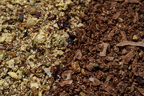 Granola BIO Natural Athlete, Frutos Secos y Semillas, Sin AzĂșcar Refinado, Sin Gluten, Vegana, ArĂĄndano, Amaranto y Cardamomo -Pack 2x325 Granola BIO Natural Athlete, Frutos Secos y Semillas, Sin AzĂșcar Refinado, Sin Gluten, Vegana, ArĂĄndano, Amaranto y Cardamomo -Pack 2x325
