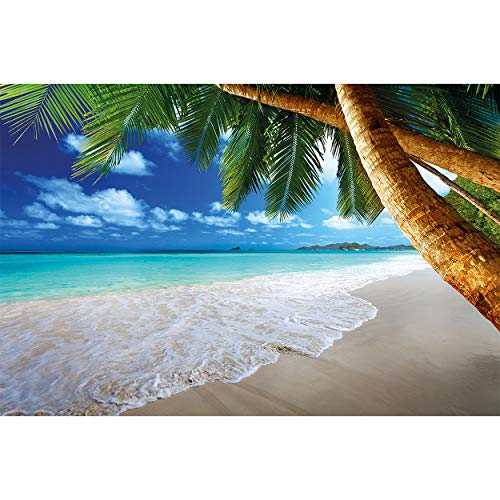 GREAT ART Mural De Pared – Playa Palmera – Sueño Caribeño Playa Bahía Paraíso Naturaleza Isla Palmeras Trópicos Cielo Azul Foto Papel Pintado Y Tapiz Y Decoración (336 x 238 cm)