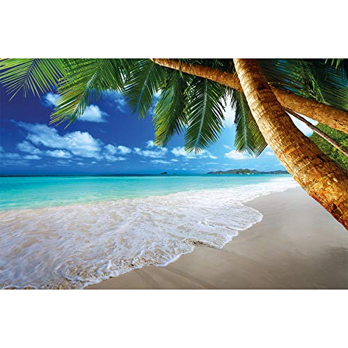 GREAT ART Mural De Pared – Playa Palmera – Sueño Caribeño Playa Bahía Paraíso Naturaleza Isla Palmeras Trópicos Cielo Azul Foto Papel Pintado Y Tapiz Y Decoración (336 x 238 cm) GREAT ART Mural De Pared – Playa Palmera – Sueño Caribeño Playa Bahía Paraíso Naturaleza Isla Palmeras Trópicos Cielo Azul Foto Papel Pintado Y Tapiz Y Decoración (336 x 238 cm)