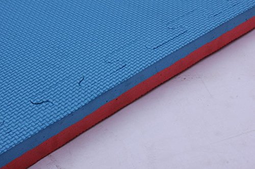 Grupo Contact Sol Tatami Puzzle 2 cm (Rojo/Azul) Borde Liso Desmontable Medida 1 x 1 m