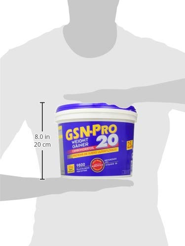 Gsn Gsn Pro 20 Chocolate 2,5 Kg Envase 2,5 Kg 2500 ml