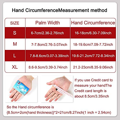 Guantes de Fitness Transpirables Guantes de Silicona con Espalda Hueca Guantes de Fitness Levantamiento de Pesas Ejercicio con Mancuernas Accesorios de Fitness-Gris, XL Guantes de Fitness Transpirables Guantes de Silicona con Espalda Hueca Guantes de Fitness Levantamiento de Pesas Ejercicio con Mancuernas Accesorios de Fitness-Gris, XL
