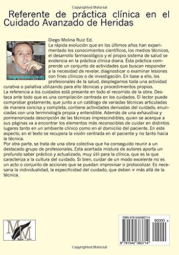 Guia de Pie Diabetico: Notas sobre el cuidado de Heridas: Volume 12 Guia de Pie Diabetico: Notas sobre el cuidado de Heridas: Volume 12