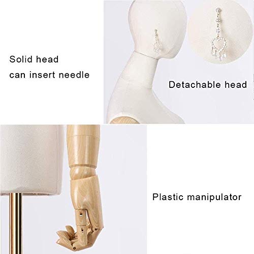 GUIYTQ5R Maniqui Costura MANNUQUIN Profesional RESPAÑA MANNUQUINS MANIQUIN MANIQUE DIMUMENTO Modelo DE Venta DE LA Ventana DE LA Ventana (Color : Gold) GUIYTQ5R Maniqui Costura MANNUQUIN Profesional RESPAÑA MANNUQUINS MANIQUIN MANIQUE DIMUMENTO Modelo DE Venta DE LA Ventana DE LA Ventana (Color : Gold)
