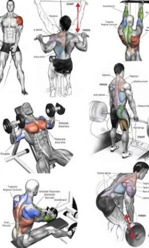 Gym Workout exercises Gym Workout exercises