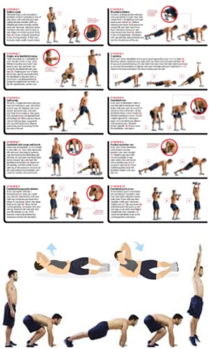 Gym Workout exercises Gym Workout exercises