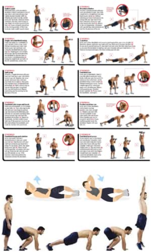 Gym Workout exercises