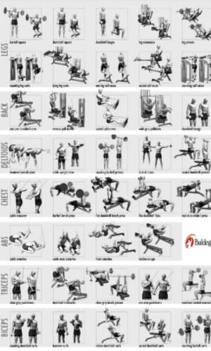 Gym Workout exercises