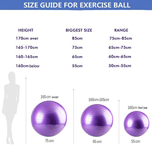 GYMBOPRO Fitness Pelota de Ejercicio - Bola Suiza con Bomba de Inflado,Bola de Yoga antirrebote y Antideslizante Bola de Equilibrio para Gimnasio Pilates Gimnasio de Yoga (65 cm, Rosado) GYMBOPRO Fitness Pelota de Ejercicio - Bola Suiza con Bomba de Inflado,Bola de Yoga antirrebote y Antideslizante Bola de Equilibrio para Gimnasio Pilates Gimnasio de Yoga (65 cm, Rosado)