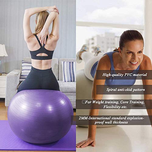 GYMBOPRO Fitness Pelota de Ejercicio - Bola Suiza con Bomba de Inflado,Bola de Yoga antirrebote y Antideslizante,Bola de Equilibrio para Gimnasio Pilates Gimnasio de Yoga (65 cm, Plata 2)