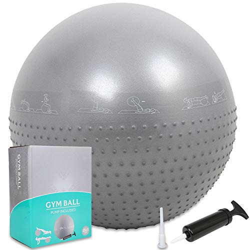 GYMBOPRO Fitness Pelota de Ejercicio - Bola Suiza con Bomba de Inflado,Bola de Yoga antirrebote y Antideslizante,Bola de Equilibrio para Gimnasio Pilates Gimnasio de Yoga (65 cm, Plata 2)