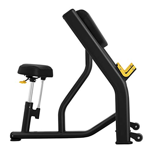 Gymrex Banco De Bíceps Scott para Entrenamiento con Pesas GR-CB 200 (Asiento: 42 x 26 cm, Peso de Usuario máx.: 135 kg, con Soporte para haltera) Gymrex Banco De Bíceps Scott para Entrenamiento con Pesas GR-CB 200 (Asiento: 42 x 26 cm, Peso de Usuario máx.: 135 kg, con Soporte para haltera)