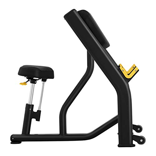 Gymrex Banco De Bíceps Scott para Entrenamiento con Pesas GR-CB 200 (Asiento: 42 x 26 cm, Peso de Usuario máx.: 135 kg, con Soporte para haltera)