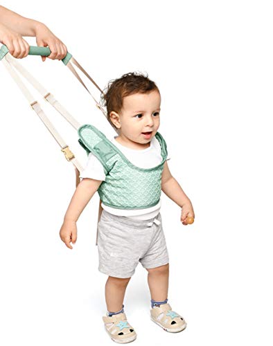 Haioo Arnés de Seguridad Bebés para Aprender Caminar Ajustable Andador Seguro 2 en 1 para Bebés de 6 a 36 meses (Azul) Haioo Arnés de Seguridad Bebés para Aprender Caminar Ajustable Andador Seguro 2 en 1 para Bebés de 6 a 36 meses (Azul)