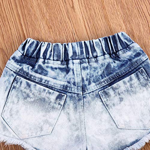 HaiQianXin 2pcs Baby Girl'S Rose Remiendo Bordado Rayas Top + Jean Shorts (Size : 3-4T)