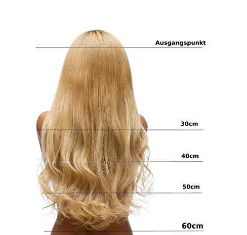 Hair2Heart 50 x 0.5g Extensiones de queratina - 30cm, colore #99j caoba, liso Hair2Heart 50 x 0.5g Extensiones de queratina - 30cm, colore #99j caoba, liso