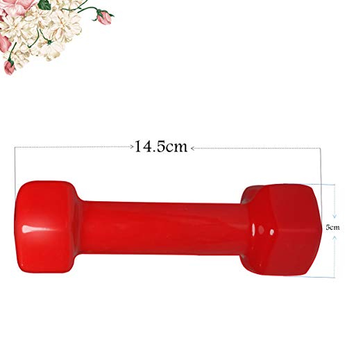 haoyunying - Juego de 2 mancuernas de neopreno (2 kg) haoyunying - Juego de 2 mancuernas de neopreno (2 kg)