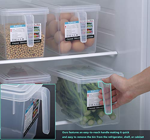 HapiLeap Organizador de Alimentos para Cocina/Congelador, contenedor Transparente con Tapa y Asa (4 Pack)