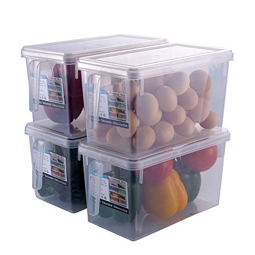 HapiLeap Organizador de Alimentos para Cocina/Congelador, contenedor Transparente con Tapa y Asa (4 Pack)