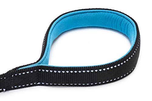 Happilax Correa Perro Reflectante con Asa Acolchado de Nylon muy Resistente, Negro 1,20 m Happilax Correa Perro Reflectante con Asa Acolchado de Nylon muy Resistente, Negro 1,20 m