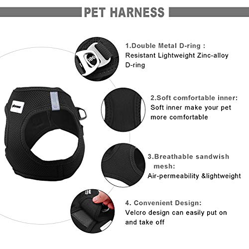 HAPPY HACHI Arnés Gato Chaleco Gatito Perro Pequeño Ajustable Suave Acolchado Cómodo para Viajar Pasear con Mascota Pequeña Cachorro Chihuahua(M Negro) HAPPY HACHI Arnés Gato Chaleco Gatito Perro Pequeño Ajustable Suave Acolchado Cómodo para Viajar Pasear con Mascota Pequeña Cachorro Chihuahua(M Negro)