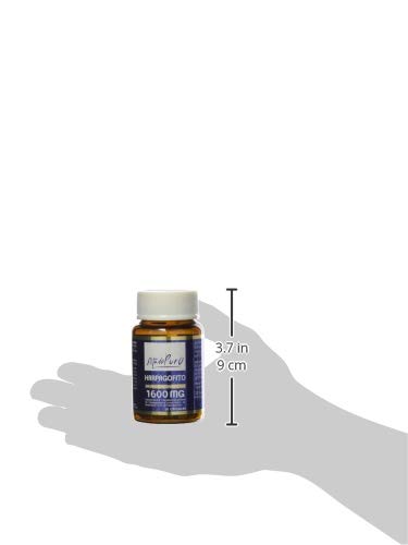 Harpagofito Estado Puro 1600 mg - 30 Cápsulas