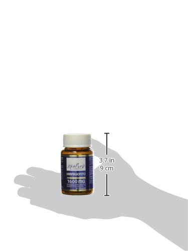 Harpagofito Estado Puro 1600 mg - 30 Cápsulas Harpagofito Estado Puro 1600 mg - 30 Cápsulas