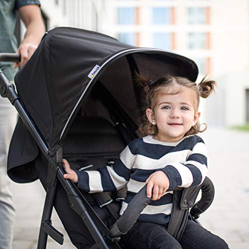 Hauck Rapid 4 Silla deportiva con respaldo reclinable para Bebés, desde nacimiento hasta 15 kg/4 años, Capacidad de carga 25 kg, Negro (Caviar/Silver)