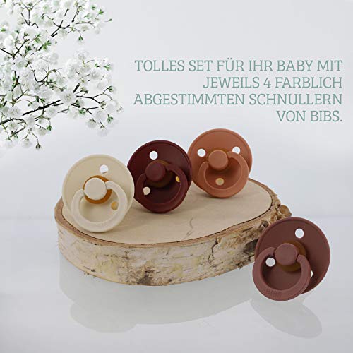 Hej Bibs Jojo Juego de 4 chupetes, incluye caja para chupetes de caucho natural, varios tamaños y colores Hej Bibs Jojo Juego de 4 chupetes, incluye caja para chupetes de caucho natural, varios tamaños y colores