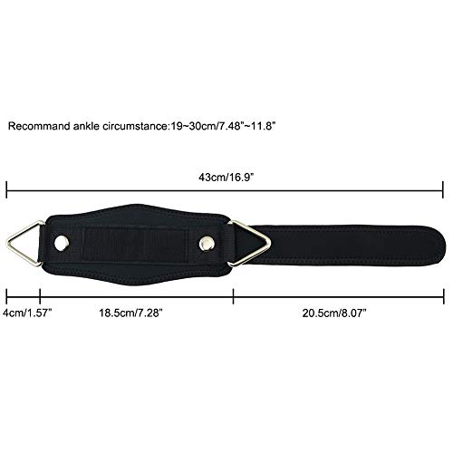 HemeraPhit Correas de tobillo para máquina de cable, gimnasio, entrenamiento, tobilleras acolchadas para ejercicio de piernas HemeraPhit Correas de tobillo para máquina de cable, gimnasio, entrenamiento, tobilleras acolchadas para ejercicio de piernas