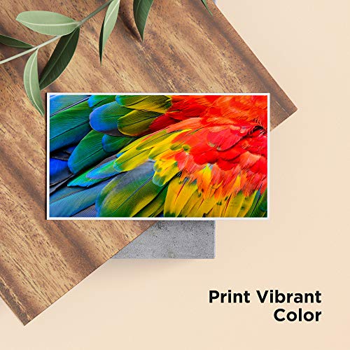 Hicorch 16XL Cartuchos de Tinta para Epson 16 XL Compatible con Epson Workforce WF-2010 WF-2510 WF-2520 WF-2530 WF-2540 WF-2630 WF-2650 WF-2660 WF-2750 WF-2760 (6 Negro,3 Cian,3 Magenta,3 Amarillo) Hicorch 16XL Cartuchos de Tinta para Epson 16 XL Compatible con Epson Workforce WF-2010 WF-2510 WF-2520 WF-2530 WF-2540 WF-2630 WF-2650 WF-2660 WF-2750 WF-2760 (6 Negro,3 Cian,3 Magenta,3 Amarillo)