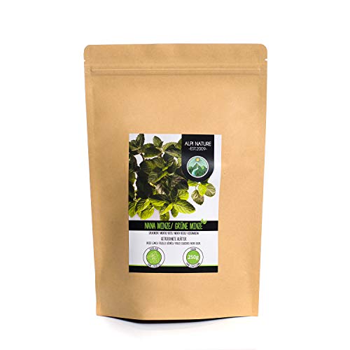 Hierbabuena (250g), corte menta verde, suavemente secado, 100% puro y natural para la preparación de té, menta marroquí, té de hierbas