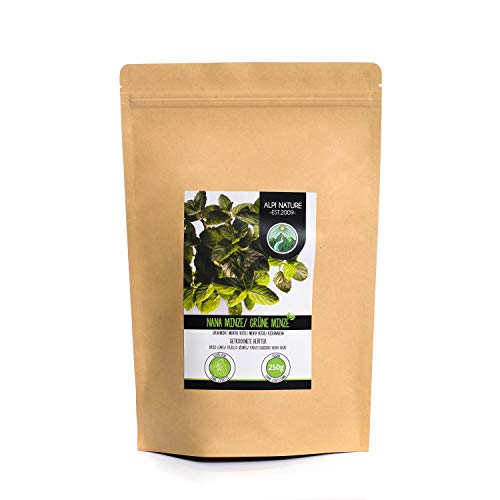 Hierbabuena (250g), corte menta verde, suavemente secado, 100% puro y natural para la preparación de té, menta marroquí, té de hierbas Hierbabuena (250g), corte menta verde, suavemente secado, 100% puro y natural para la preparación de té, menta marroquí, té de hierbas