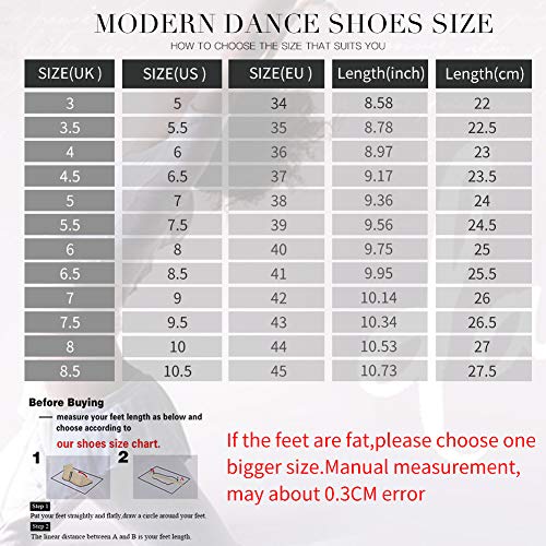 HIPPOSEUS Mujer Zapatillas de Baile, Lona, con Cordones,EST01A,Negro,EU 38 HIPPOSEUS Mujer Zapatillas de Baile, Lona, con Cordones,EST01A,Negro,EU 38