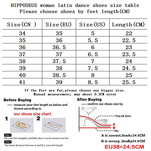 HIPPOSEUS Zapatos de Baile para Mujer con Dedos Cerrados Zapatos de práctica de Entrenamiento para Maestros de Baile Tacón bajo,ES101-LT,Negro Color,EU 39