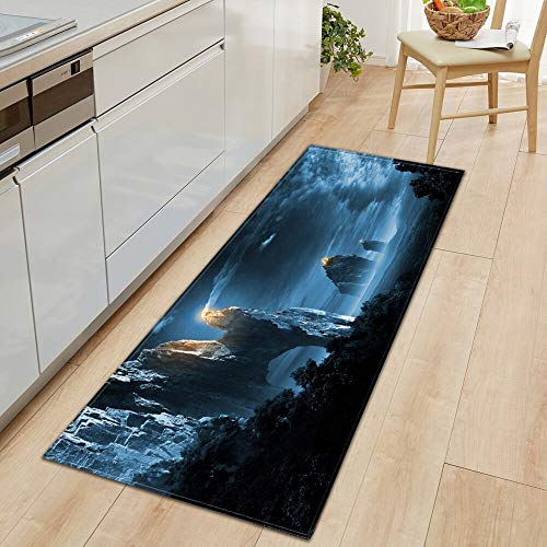 HLXX Alfombra de Cocina, Felpudo de Entrada, Dormitorio, Pasillo, Suelo, decoración, Alfombra, baño, Absorbente de Agua, Alfombra Antideslizante A14 40x60cm