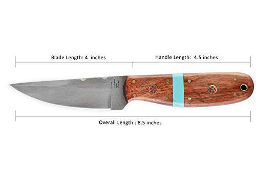 Hobby Hut HH-411, Cuchillo de Caza Hecho a Mano de 21,6 cm 52100 de Acero con Mango de Madera y Turquesa, Hoja Fija de Espiga Completa, Hoja Afilada diseñada para Camping