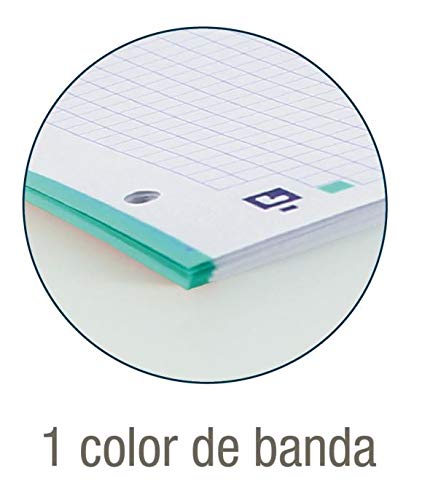 Hojas cuadriculadas A4 Recambio Oxford, Banda color Ice Mint. 100 Hojas. Cuadrícula 5x5., rosa chicle, 400106624